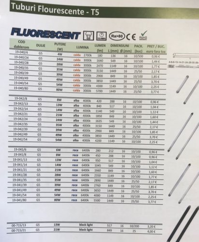 WhatsApp Image 2018-08-07 at 23.00.58.jpeg