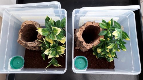 step 6 finished!.jpg