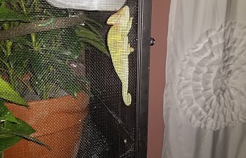 sleeping on door 2.jpg