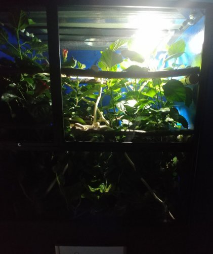 20180829_200353-1-1.jpg