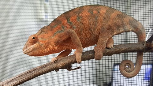 20180830_143923.jpg