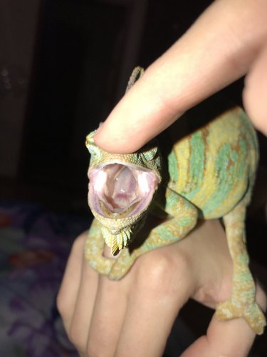 Photo 9-17-18, 7 41 16 PM.jpg