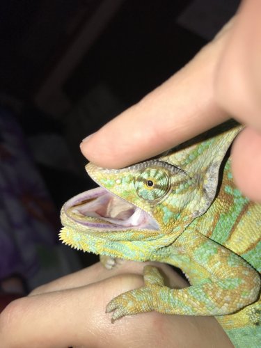 Photo 9-17-18, 7 42 09 PM.jpg