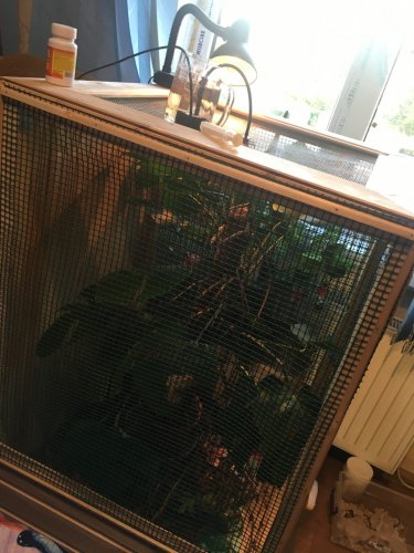 Photo 9-18-18, 6 35 30 PM.jpg