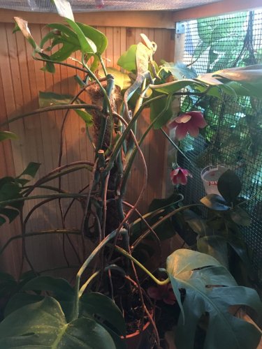 Photo 9-18-18, 6 35 38 PM.jpg