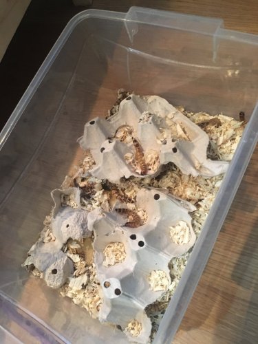 Photo 9-18-18, 6 35 55 PM.jpg