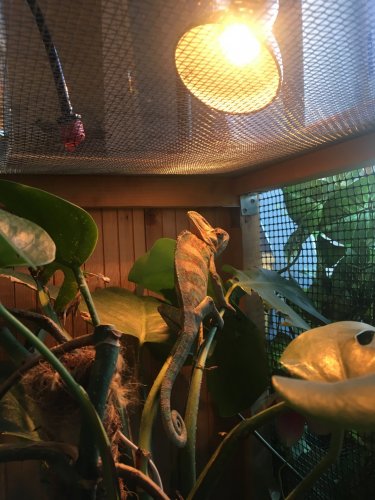 Photo 9-18-18, 6 36 06 PM.jpg