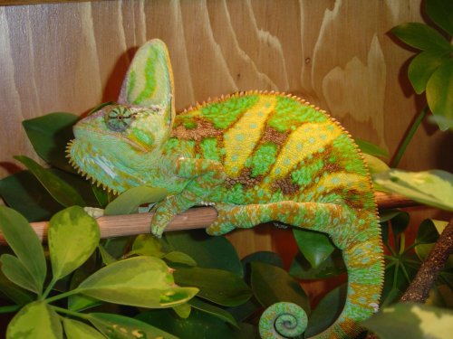 Sept06_2010.jpg
