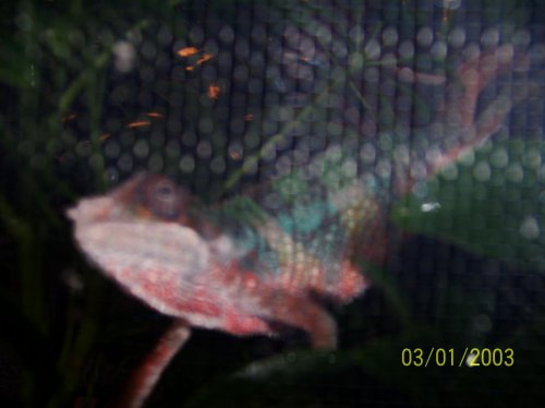 000_0024.jpg