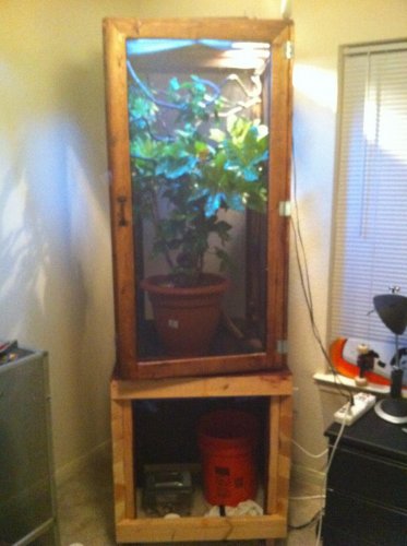 Pastebot 2010-09-03 21.15.33 PM.jpg