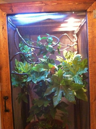 Pastebot 2010-09-03 21.22.12 PM.jpg