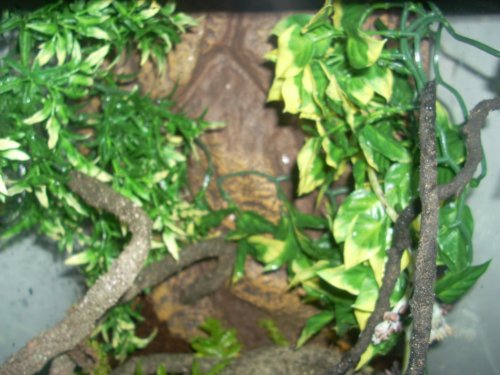 DSCN0044.jpg