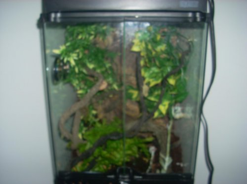 DSCN0049.jpg