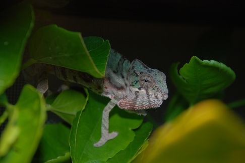 DSC_0289.jpg