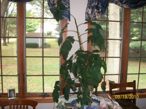 100_0863.jpg