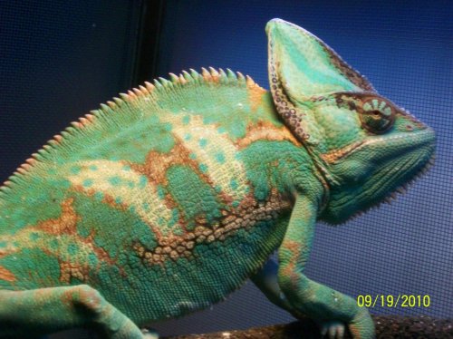 100_0871.jpg
