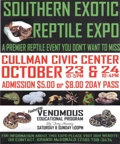 SHOW-FLYER.jpg