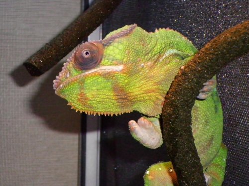 mitsios 9-25-10 027.jpg