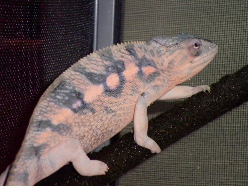 mitsios 9-25-10 028.jpg