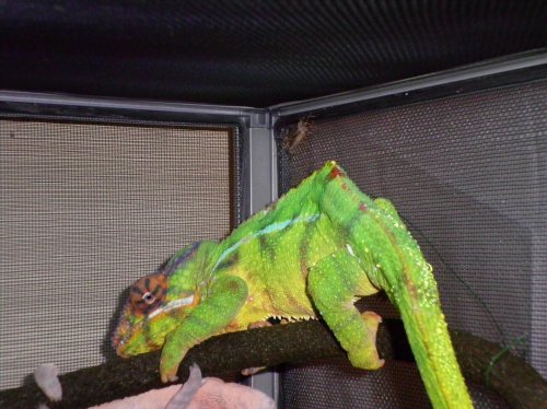 mitsios 9-25-10 025.jpg