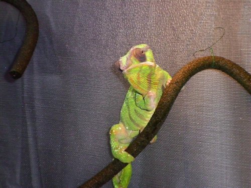 mitsios 9-25-10 019.jpg