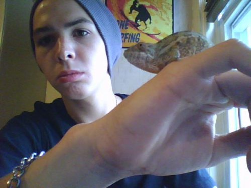 Webcam 016.jpg