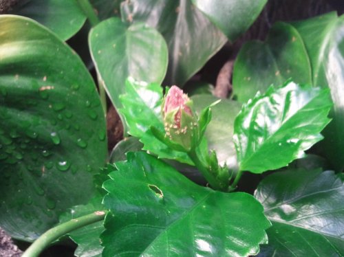 2010-10-03 12.44.42.jpg