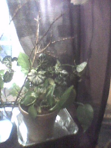 Image0002.jpg