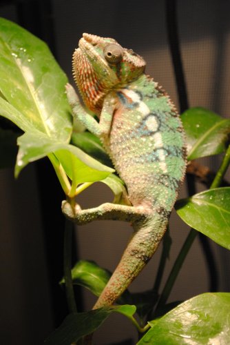 DSC_0160.jpg