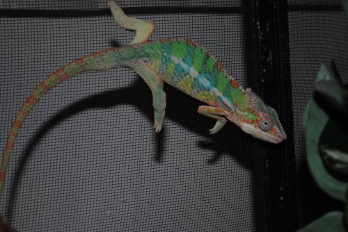 DSC_0169.jpg