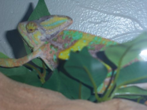 on the way to versi 066.jpg