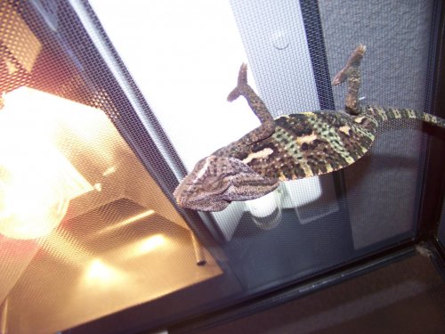 100_1547.jpg