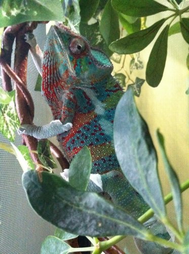 photo-9.jpg