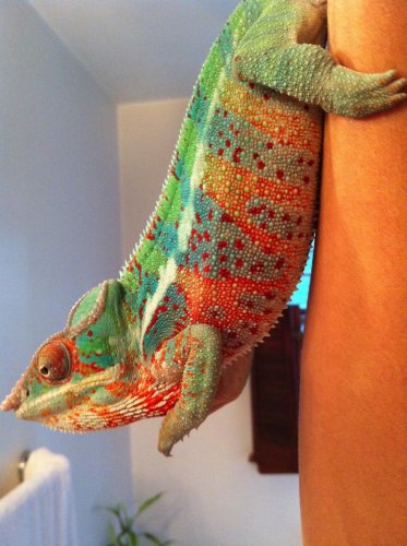 photo-7.jpg