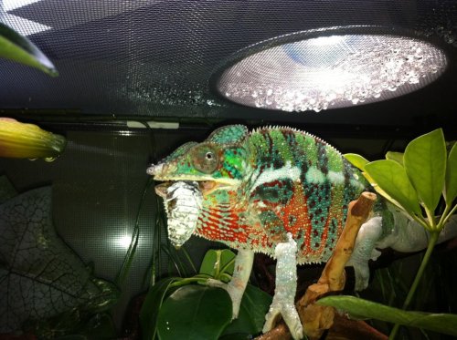 photo-8.jpg