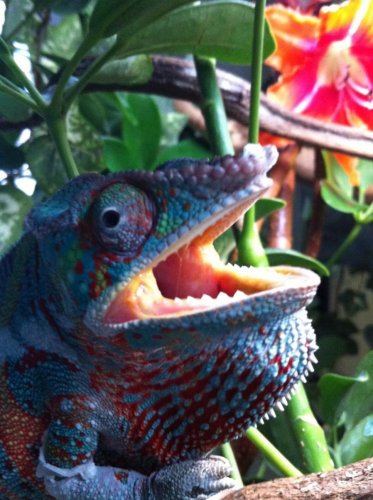 photo-17.jpg