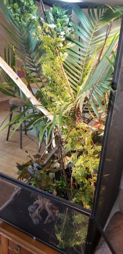 20180926_103615.jpg 20180926_103615.jpg