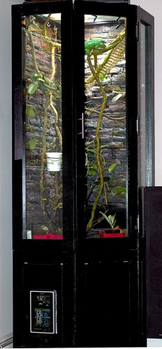 chameleon enclosure feb 7 2018 (1).jpg