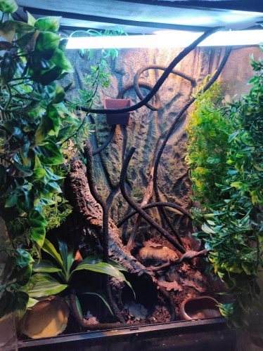 terraario.jpg terraario.jpg