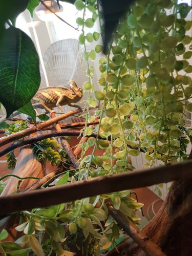 20181021_115753.jpg