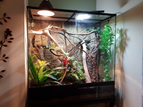 WhatsApp Image 2018-12-15 at 7.50.27 PM (2).jpeg