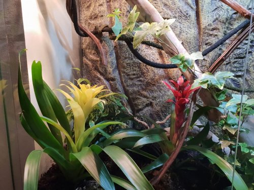 WhatsApp Image 2018-12-15 at 7.50.27 PM.jpeg