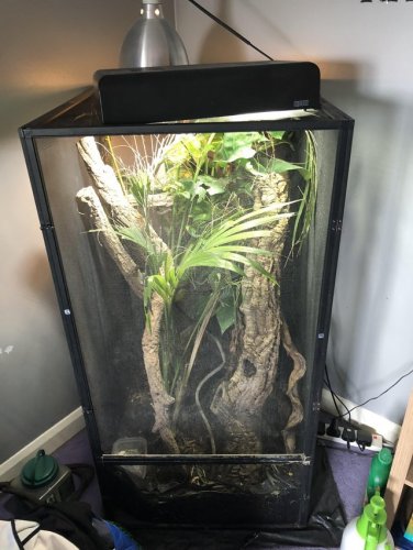 Large mesh vivarium.jpg