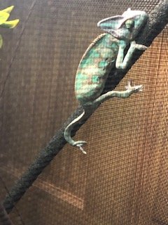 IMG_0493.jpg