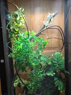 IMG_0494.jpg