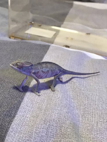 7B383C67-DEE2-4D2C-9186-05389AF2C129 - Copy.jpeg