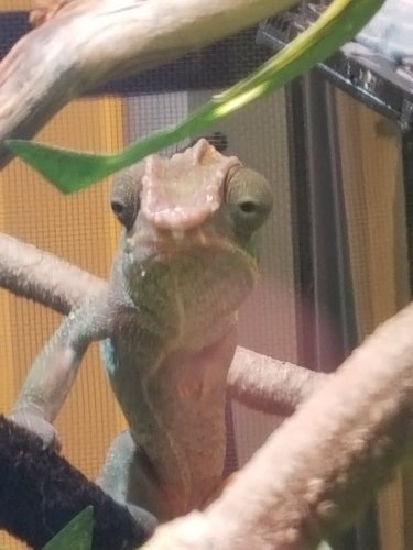 20181017_103550.jpg