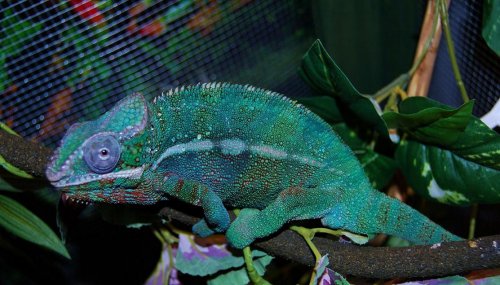 DSC_00230012.JPG