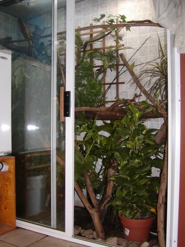 habitat-quads 001.jpg