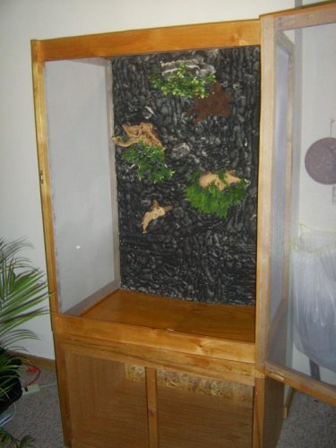 Front finished.JPG